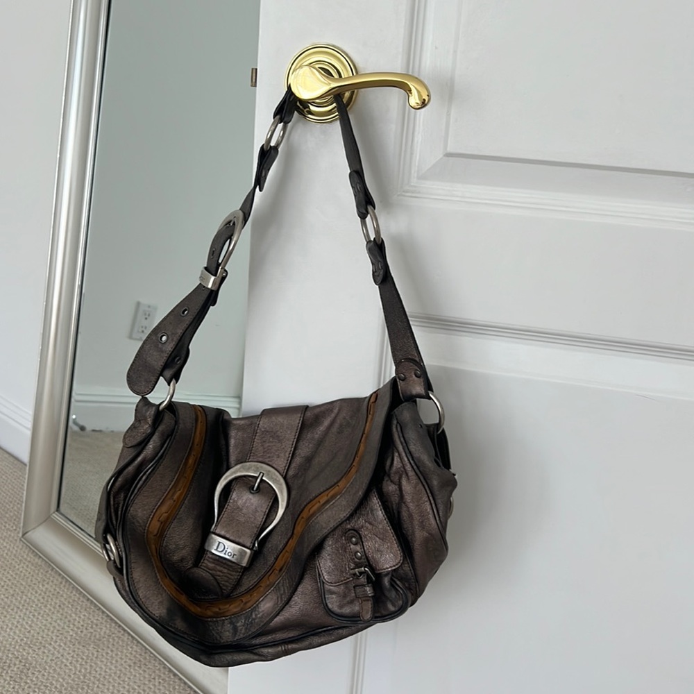 Dior guacho metallic Purse